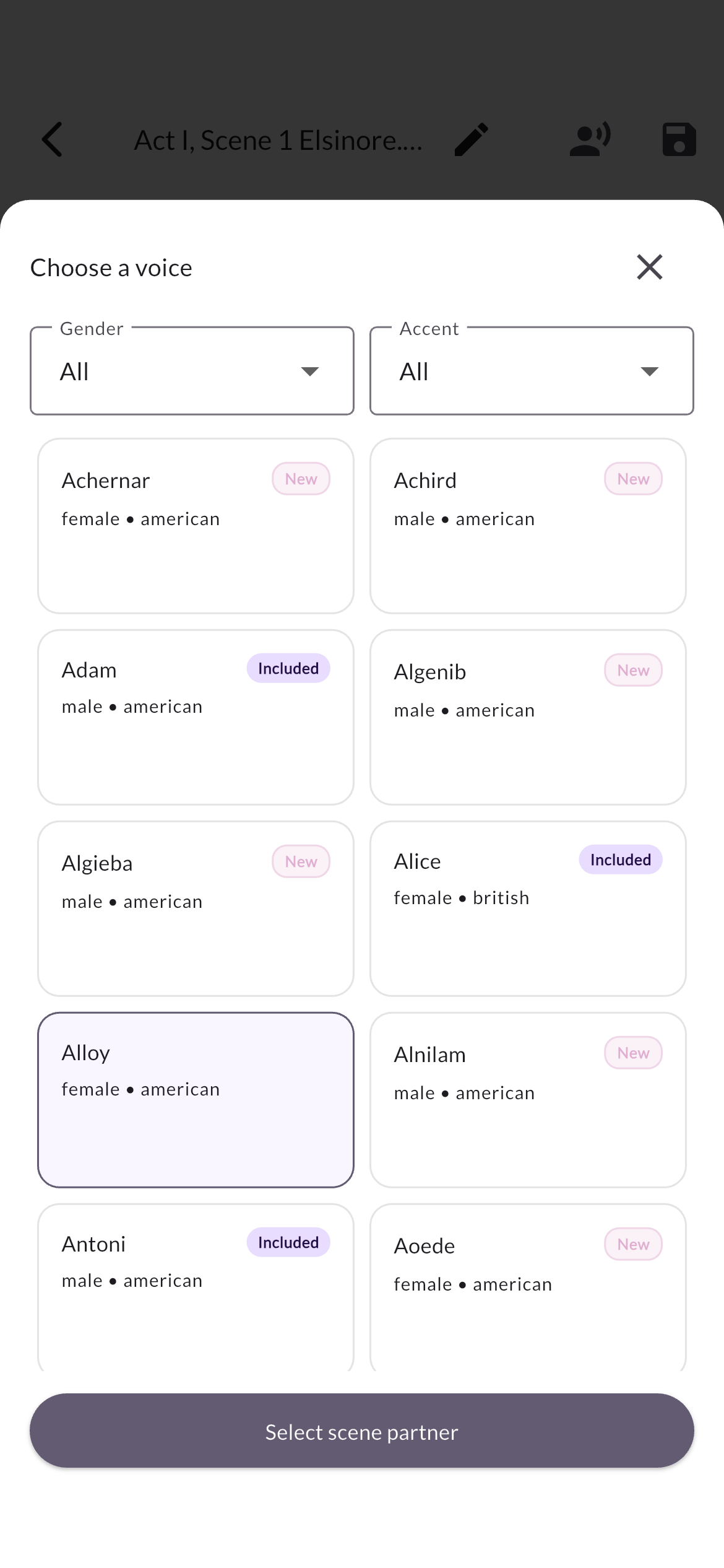 Understudy custom character audio screen